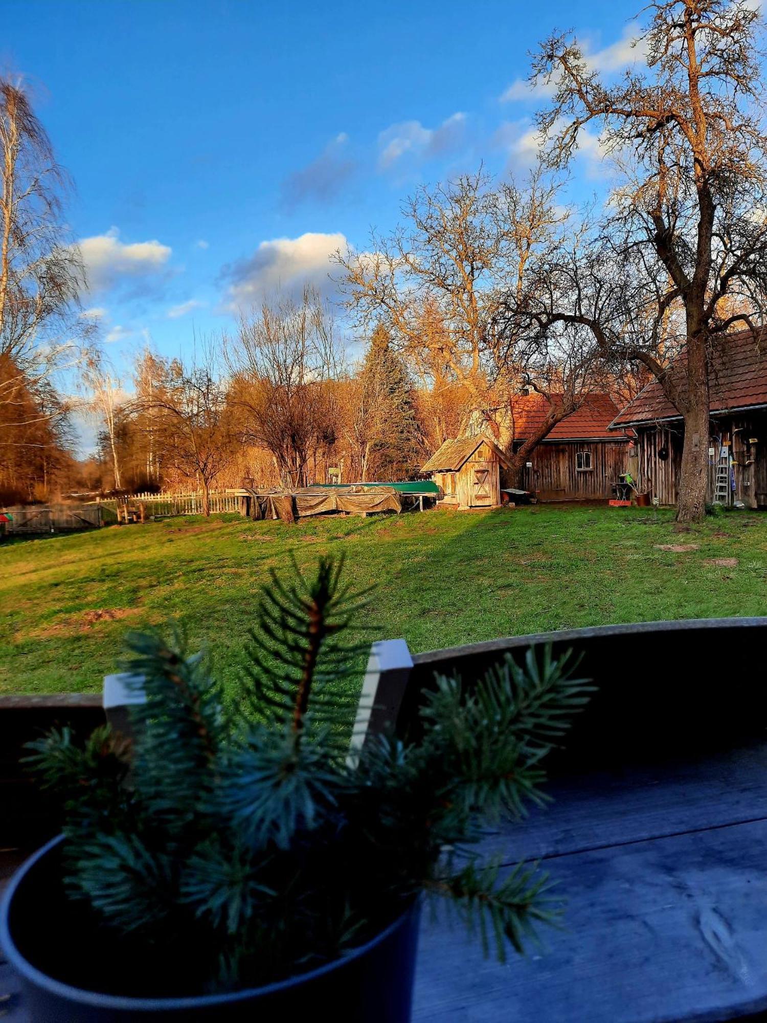 Liljas Haus Im Spreewald
